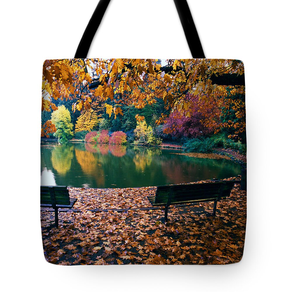Photography Tote Bag featuring the photograph Autumn Color Trees And Fallen Leaves by Panoramic Images