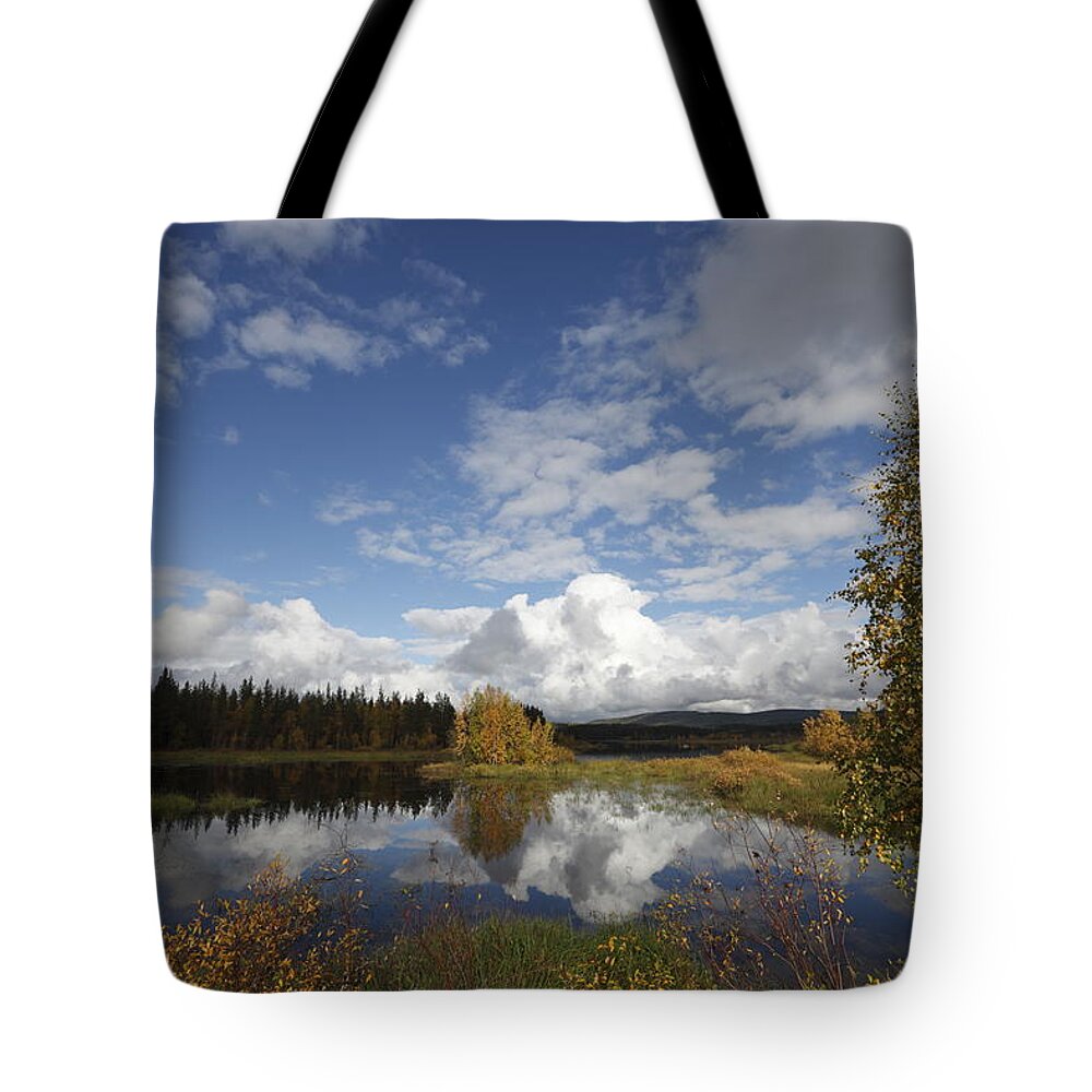 Autumn Tote Bag featuring the photograph Autumn colore birch trees at a lake by Ulrich Kunst And Bettina Scheidulin