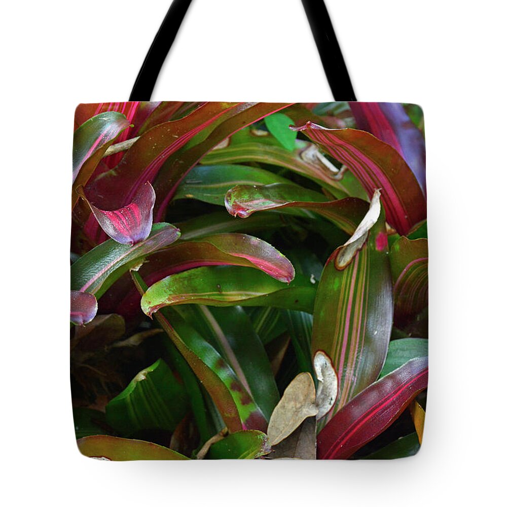Purple Shield Tote Bag featuring the photograph Autumn Colors at Albin Polasek Museum by Bruce Gourley