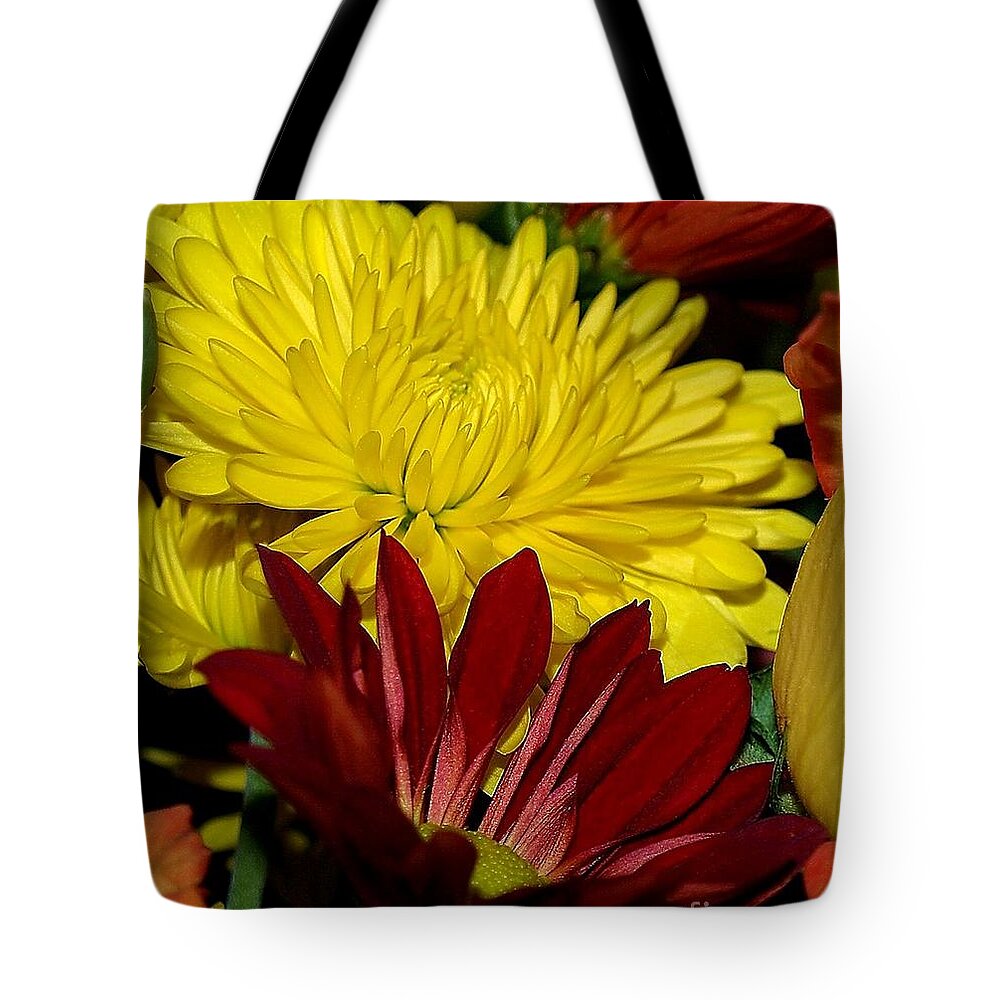 Chrysanthemum Photography Tote Bag featuring the photograph Autumn Colors by Patricia Griffin Brett