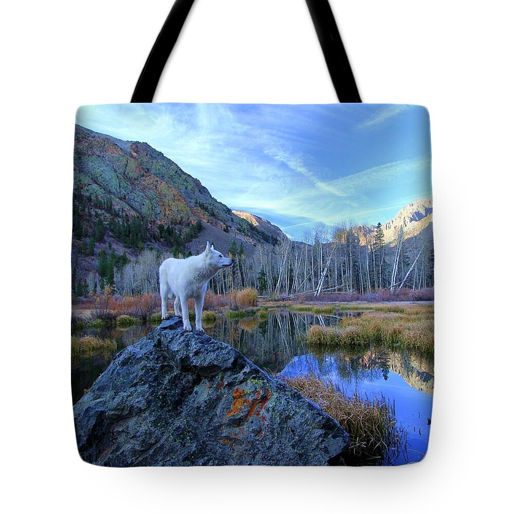 California Tote Bag featuring the photograph Autumn Dawn Lundy Canyon by Sean Sarsfield