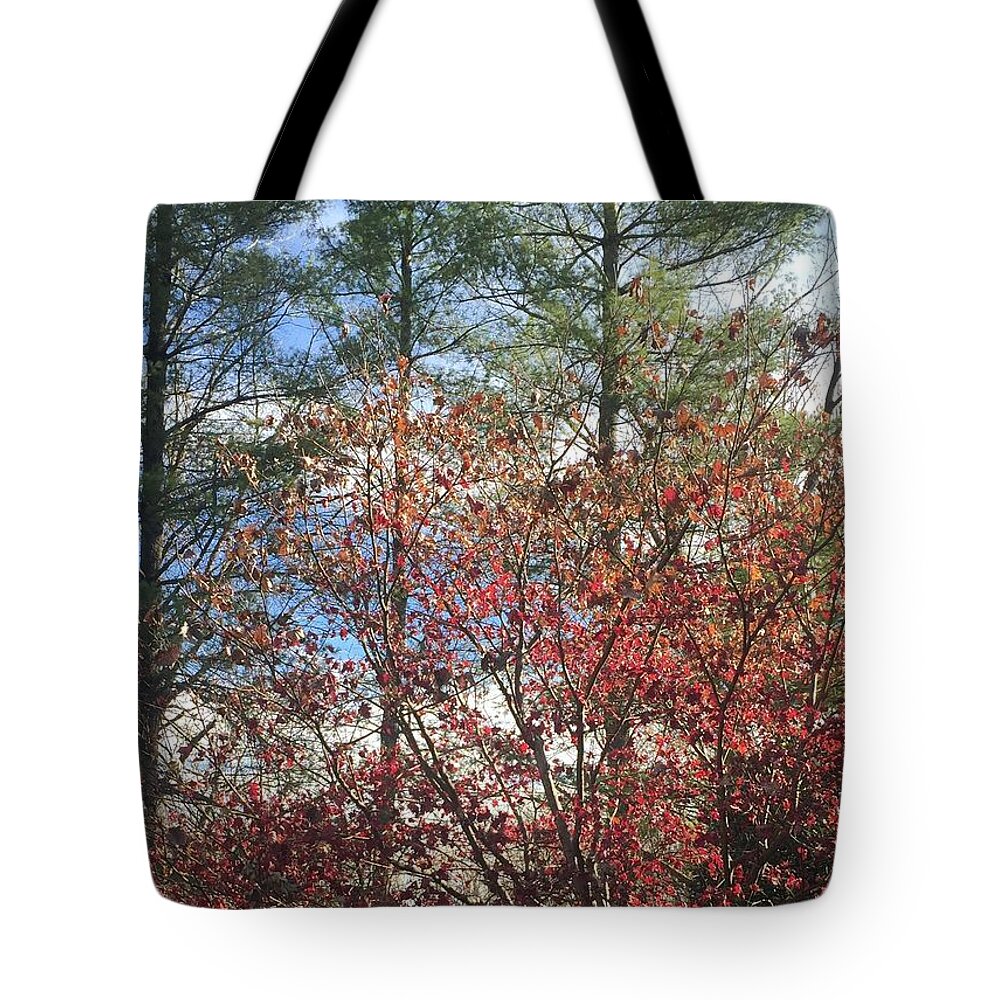 Nature Tote Bag featuring the photograph Autumn Day by Barbara Plattenburg