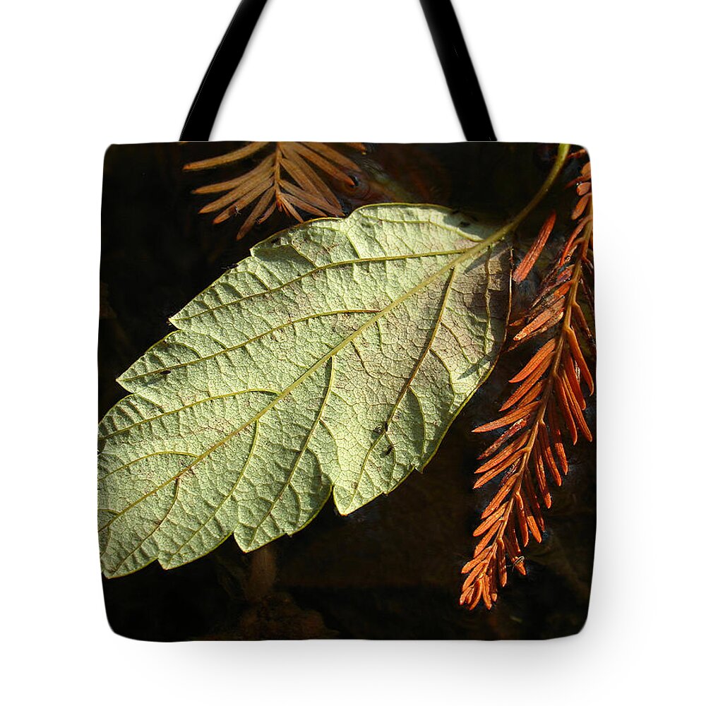 Tree Tote Bag featuring the photograph Autumn Departure by Juergen Roth