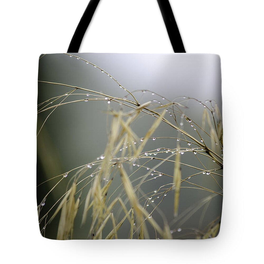 Autumn Tote Bag featuring the photograph Autumn dew on grass by Spikey Mouse Photography