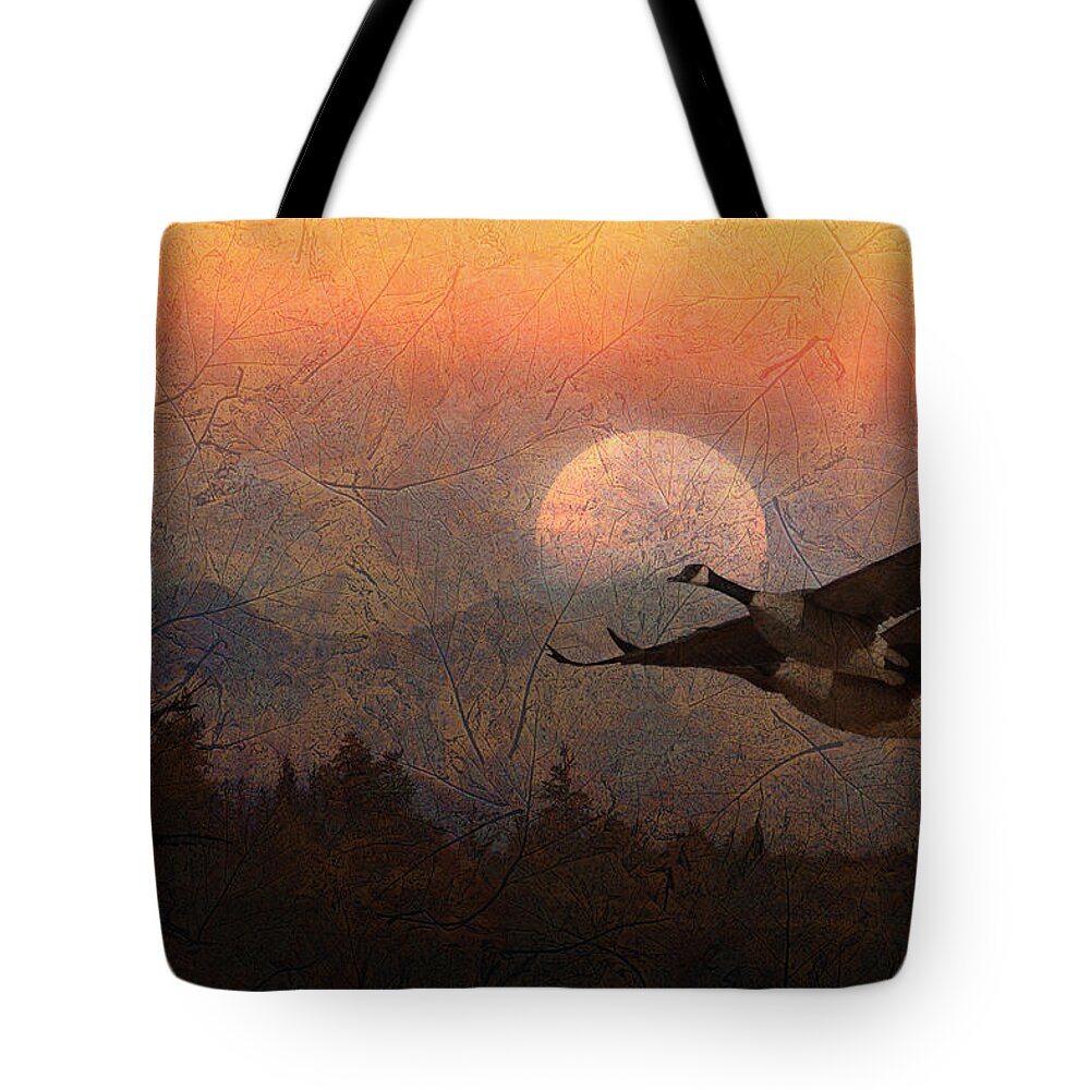 Canadian Geese Tote Bag featuring the photograph Autumn by Ed Hall