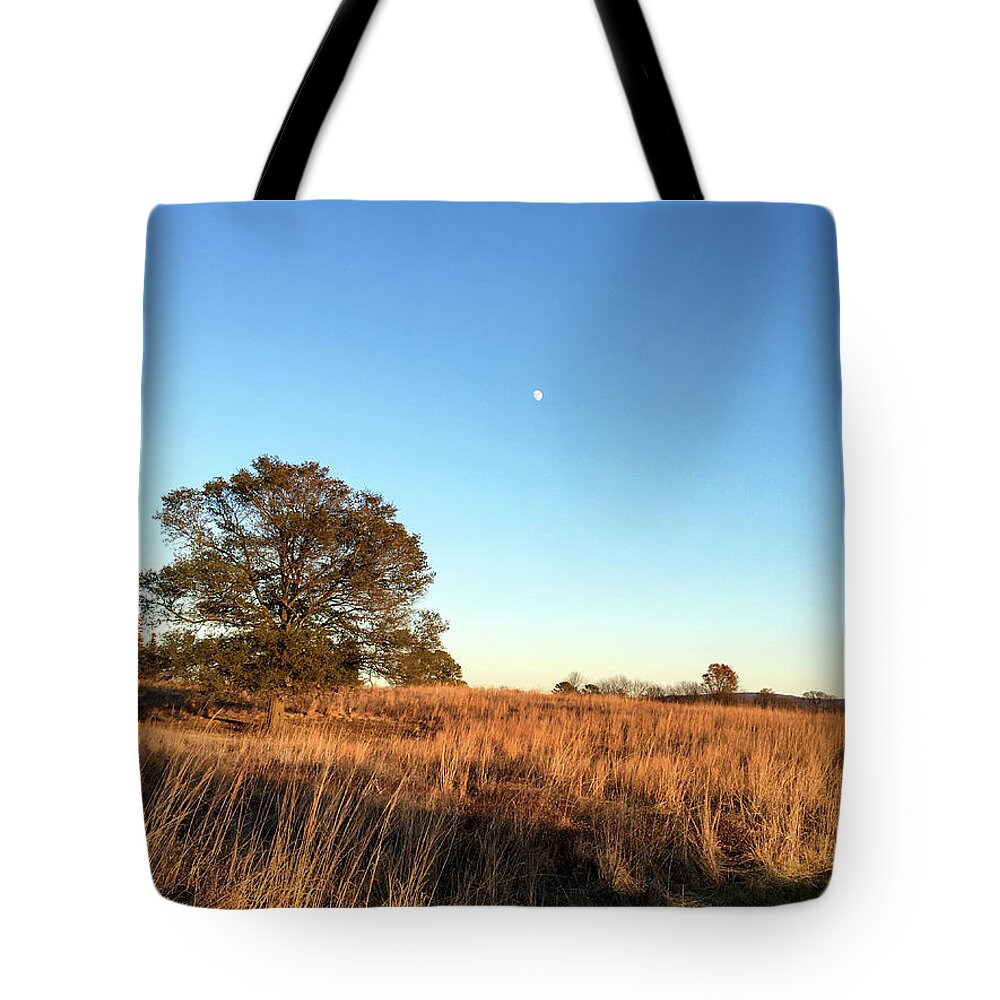 Autumn Tote Bag featuring the photograph Autumn Evening Moon by Matt Sexton