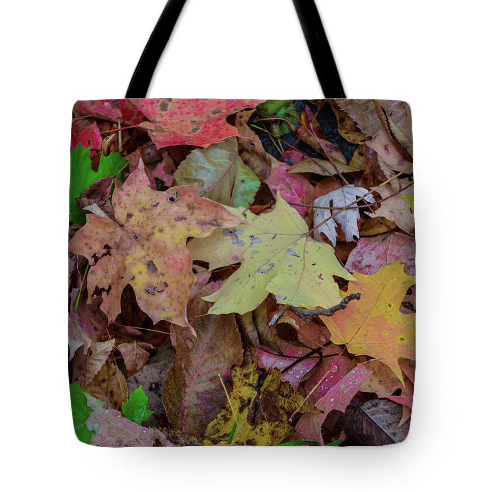 Autumn Tote Bag featuring the photograph Autumn - Fallen Leaves by Bill Cannon