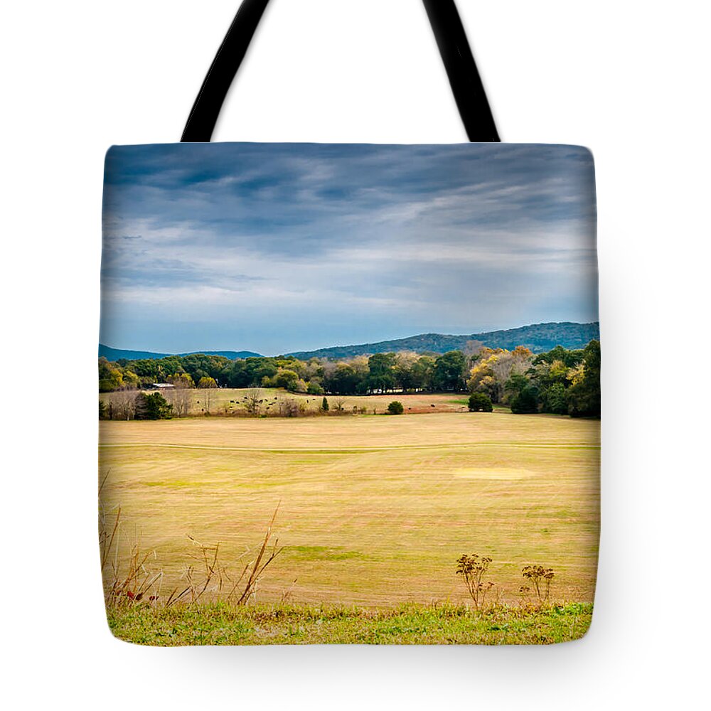 Mountains Tote Bag featuring the photograph Autumn Field by James L Bartlett
