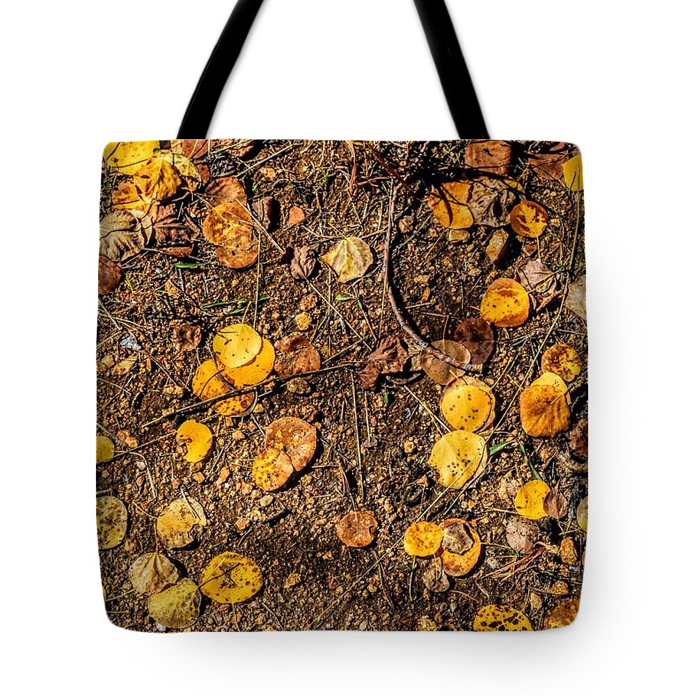 Autumn Tote Bag featuring the photograph Autumn Floor by Michael Brungardt