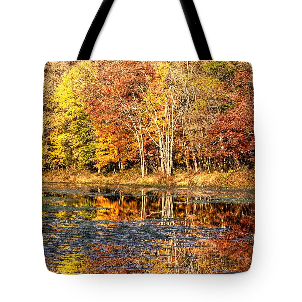 Autumn Tote Bag featuring the photograph Autumn Foliage at White's Mill Preserve by Carol Senske