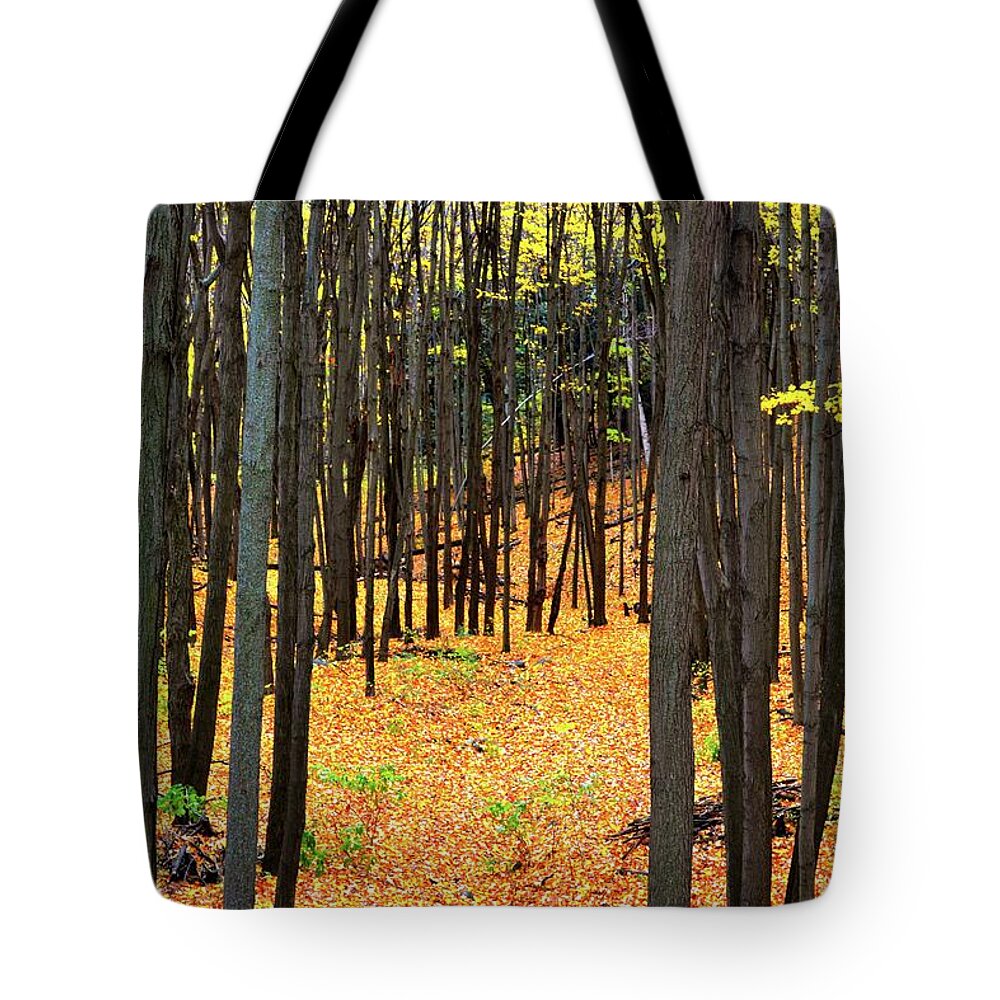 Abstract Tote Bag featuring the photograph Autumn Forest by Lyle Crump