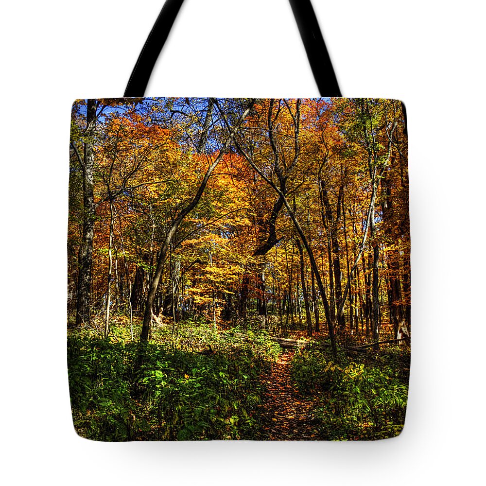 Pictorial Tote Bag featuring the photograph Autumn Forest Path at Johnson's Mound by Roger Passman