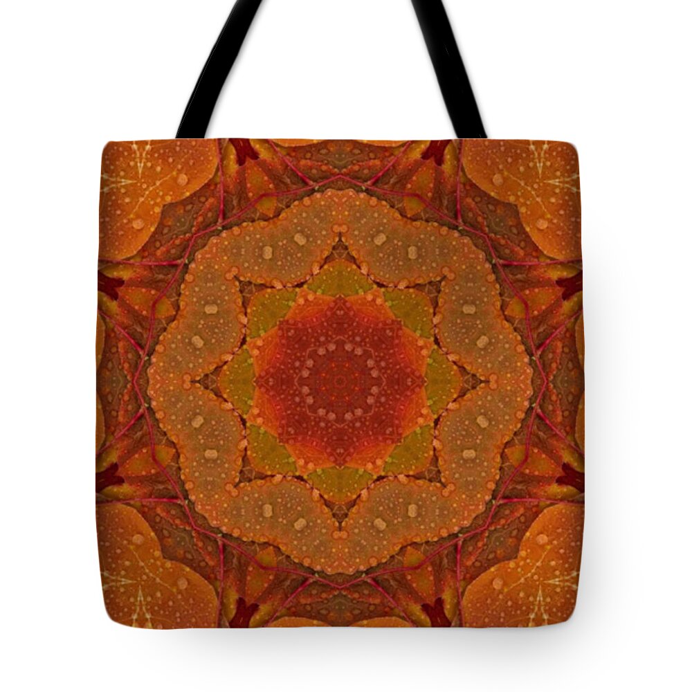 Autumn Glow Tote Bag featuring the digital art Autumn Glow 1 by Lynn Evenson