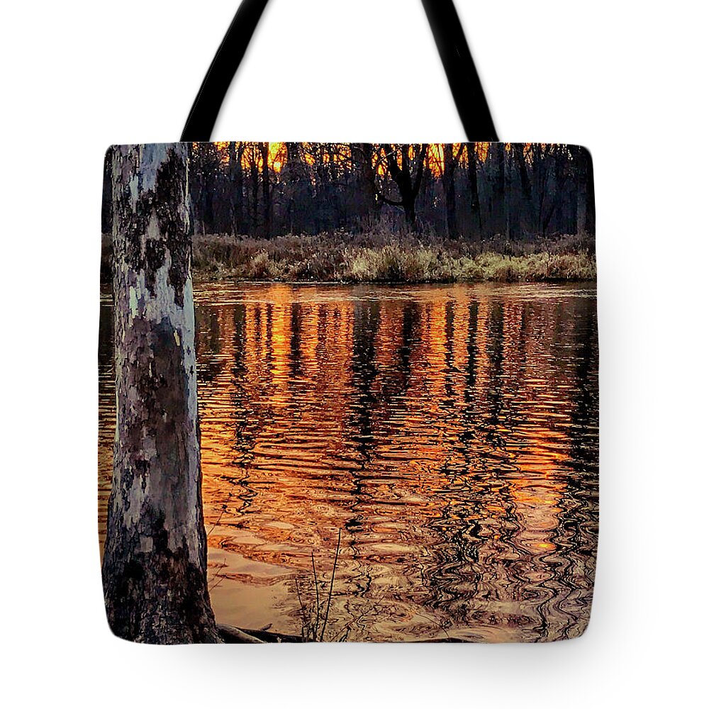 Autumn Sunset Tote Bag featuring the photograph Autumn Gold Reflections by Jill Love