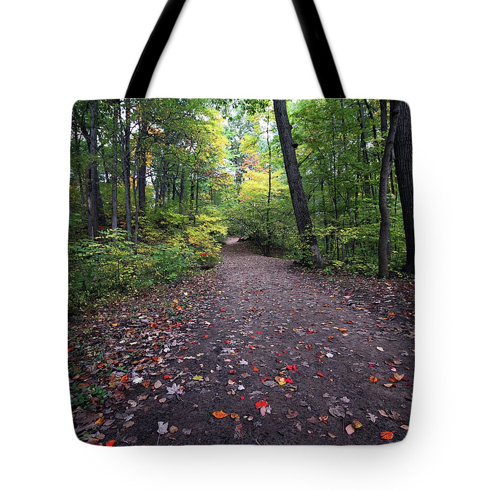 Autumn Tote Bag featuring the photograph Autumn Hiking by Jackson Pearson