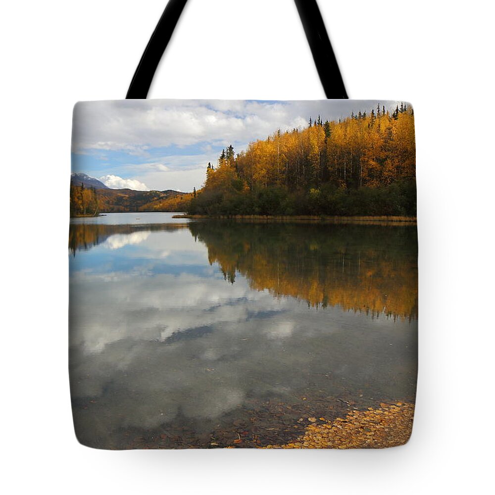 Autumn Tote Bag featuring the photograph Autumn In Alaska by Steve Wolfe