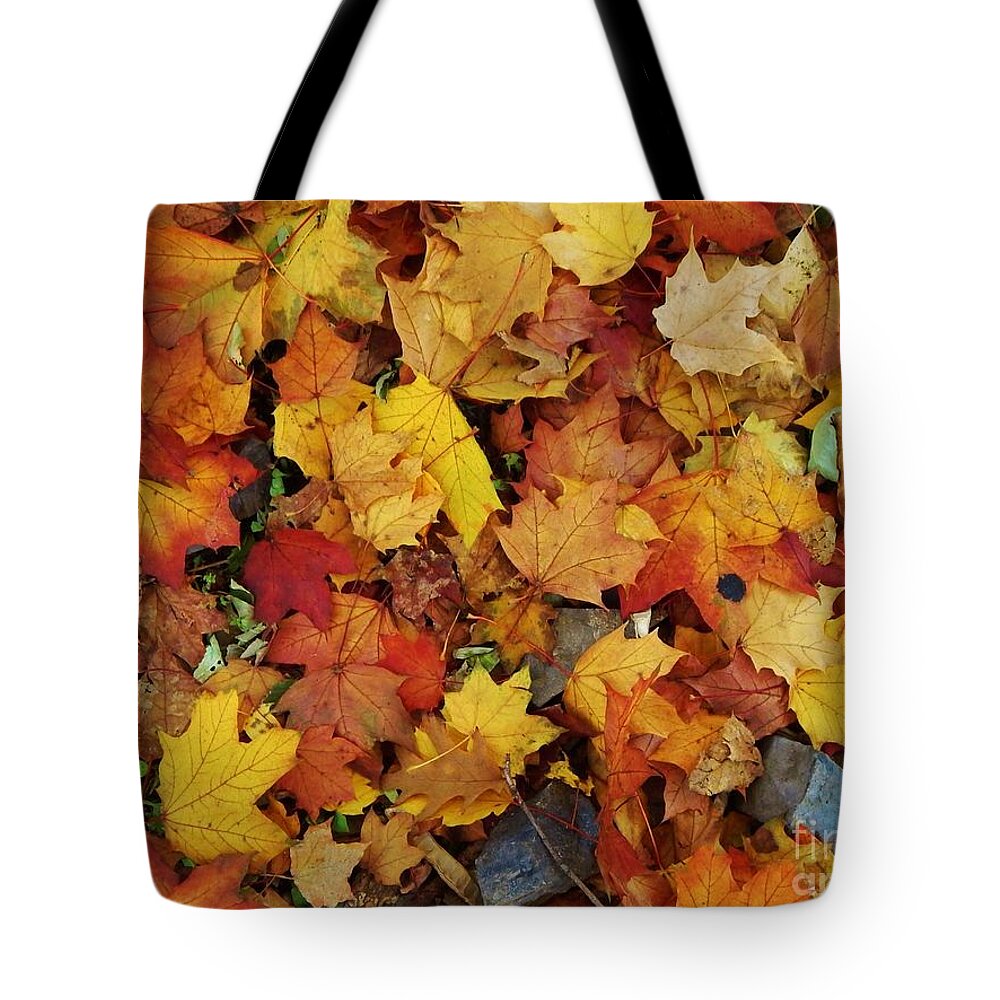 Leaves Tote Bag featuring the photograph Autumn in Canada by Reb Frost