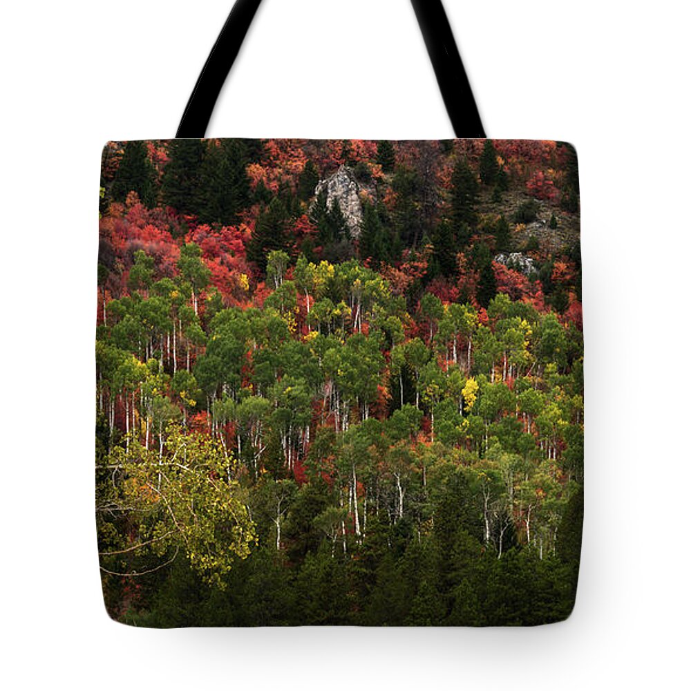 Autumn Tote Bag featuring the photograph Autumn In Idaho by Yeates Photography