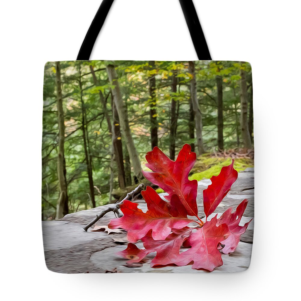 Autumn Leaves Red Green Foliage Wny Letchworth State Park Fall Trees Tree Leaf Change Tote Bag featuring the photograph Autumn In Letchworth by Valerie Cason