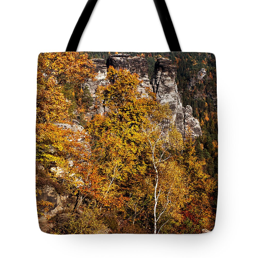Saxon Switzerland Tote Bag featuring the photograph Autumn in Saxon Switzerland by Jenny Rainbow