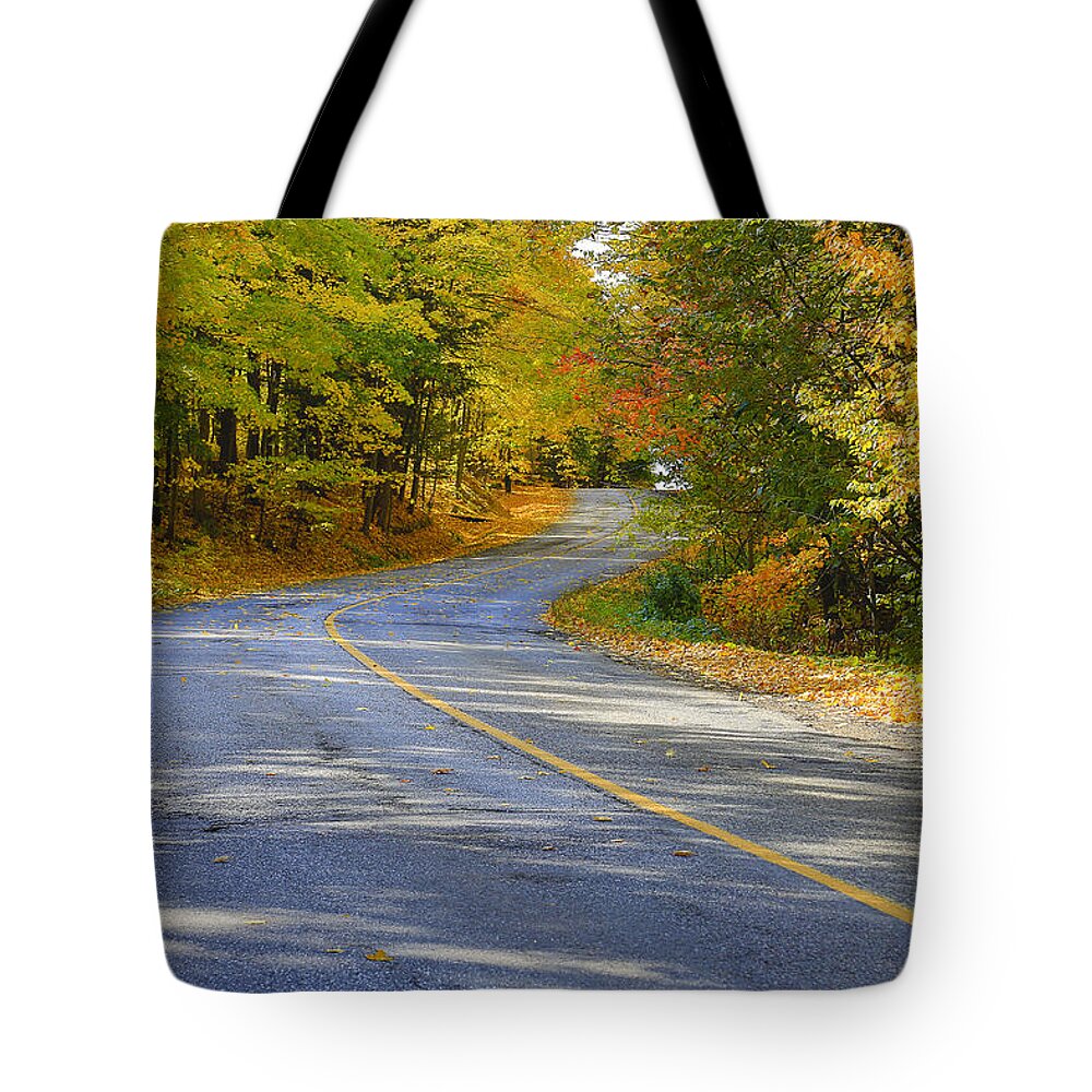 Caledon Tote Bag featuring the photograph Autumn in the Caledon Hills 2 by Gary Hall