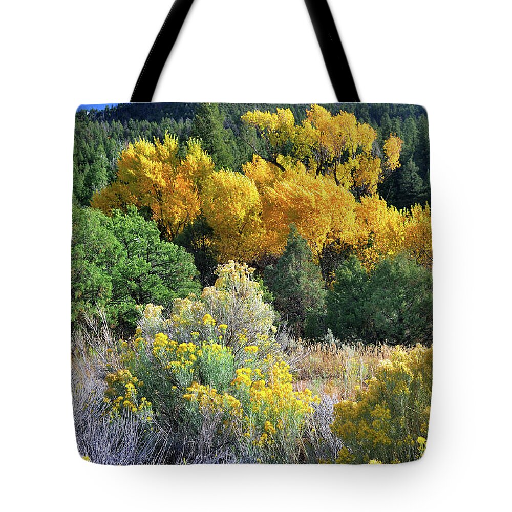 Landscape Tote Bag featuring the photograph Autumn In The Canyon by Ron Cline