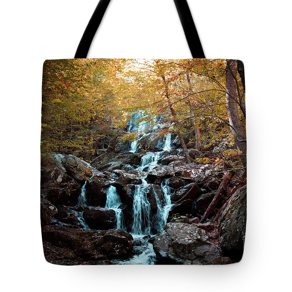 Dark Tote Bag featuring the photograph Autumn in the Mountains by Rebecca Davis