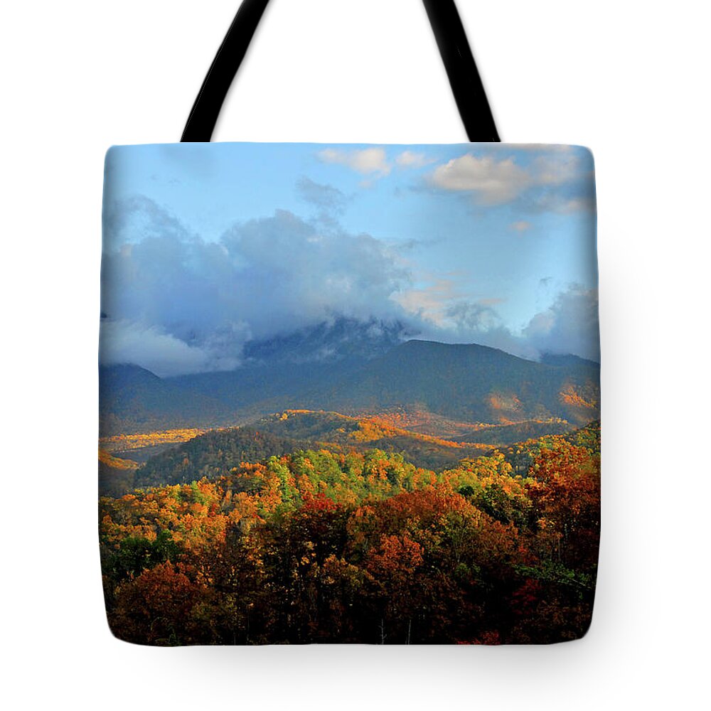 Mountains Tote Bag featuring the photograph Autumn in the Smokies by Rebecca Higgins