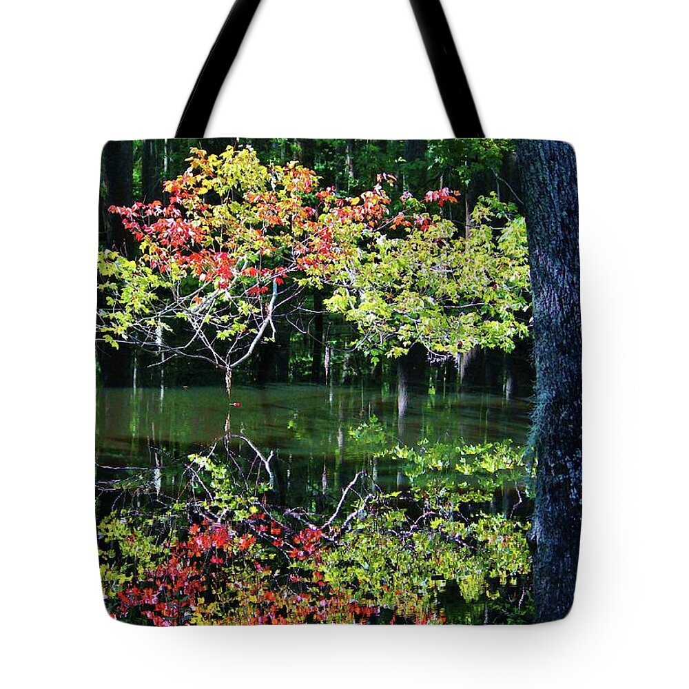 Autumn Tote Bag featuring the photograph Autumn In The Swamp by Cynthia Guinn