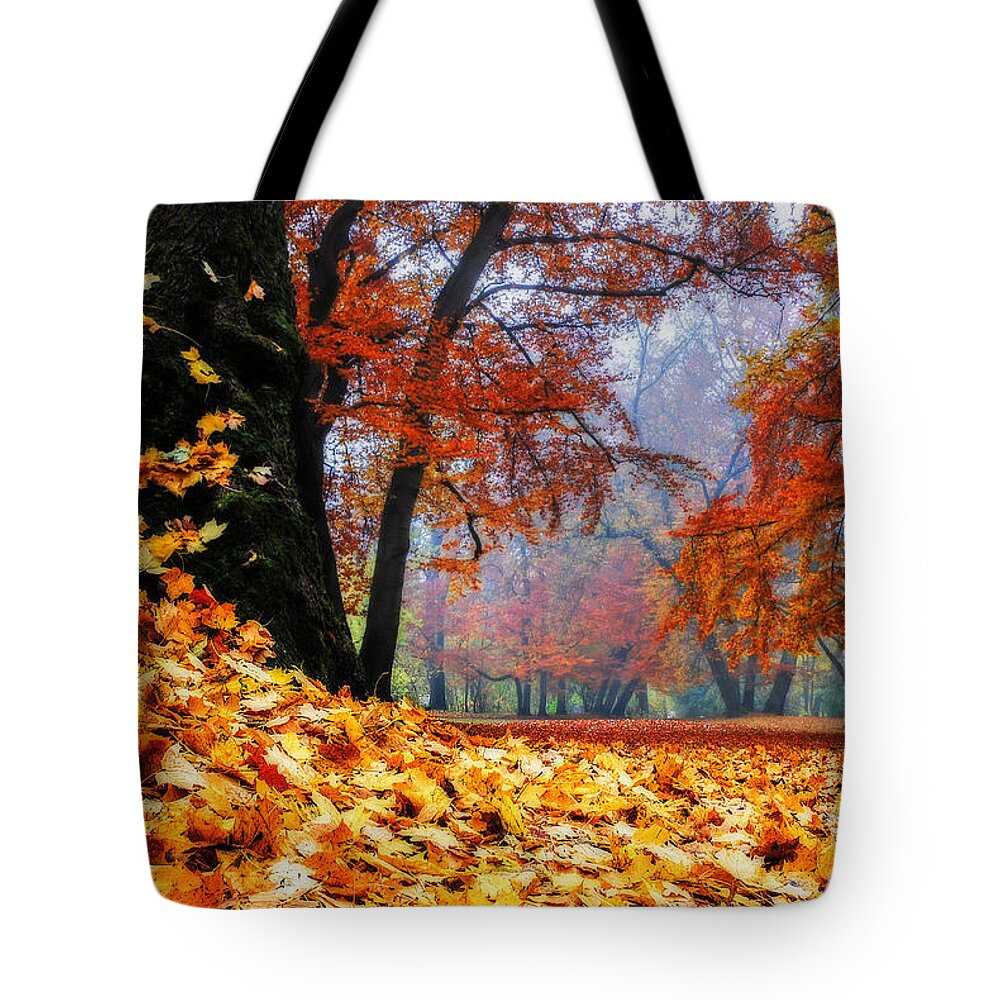 Autumn Tote Bag featuring the photograph Autumn In The Woodland by Hannes Cmarits