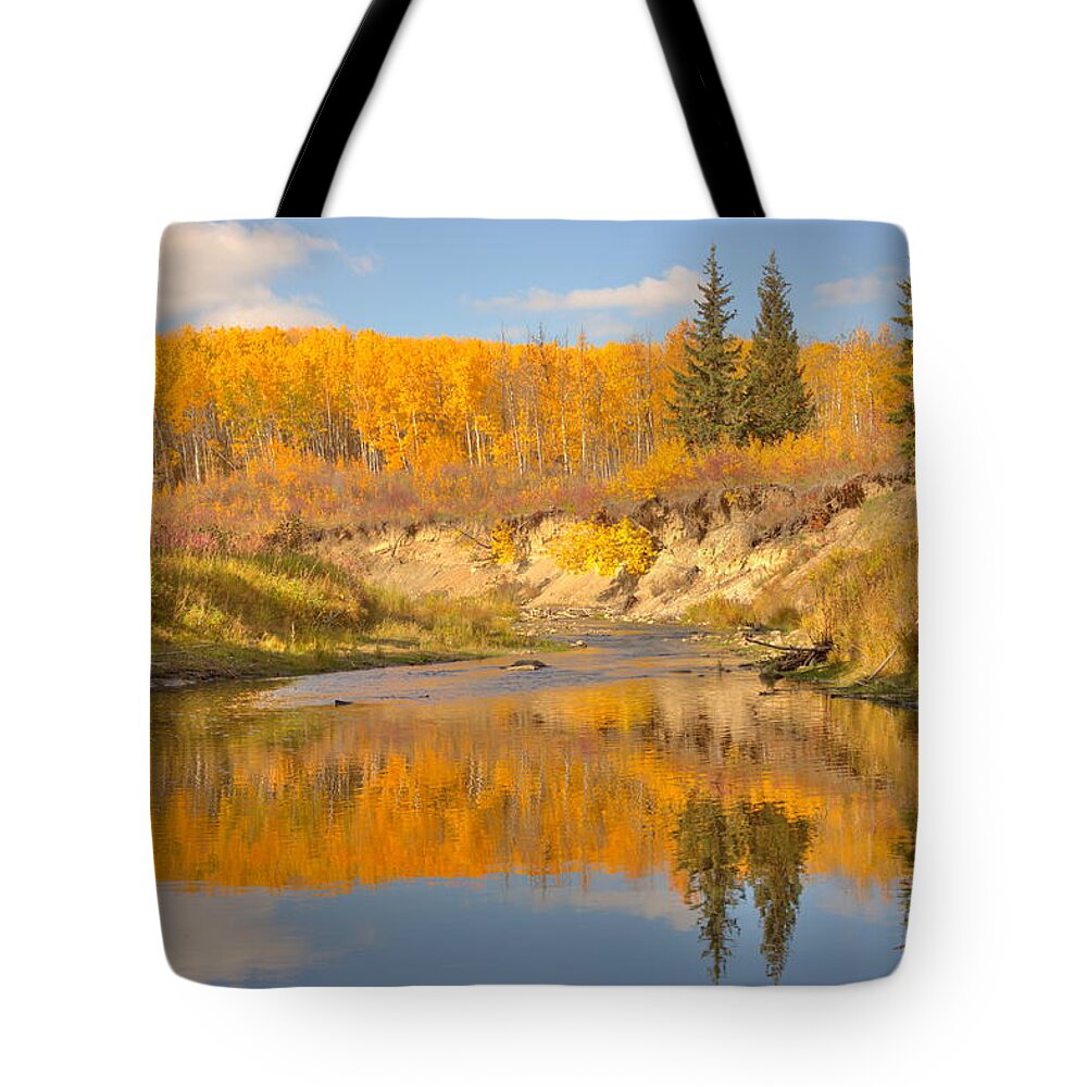 Nature Tote Bag featuring the photograph Autumn in Whitemud Ravine by Jim Sauchyn
