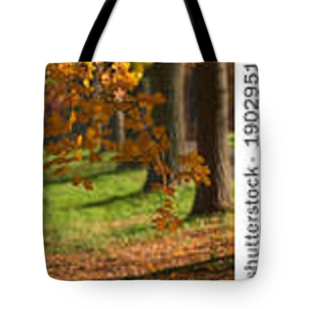  Tote Bag featuring the photograph Autumn by James Knecht