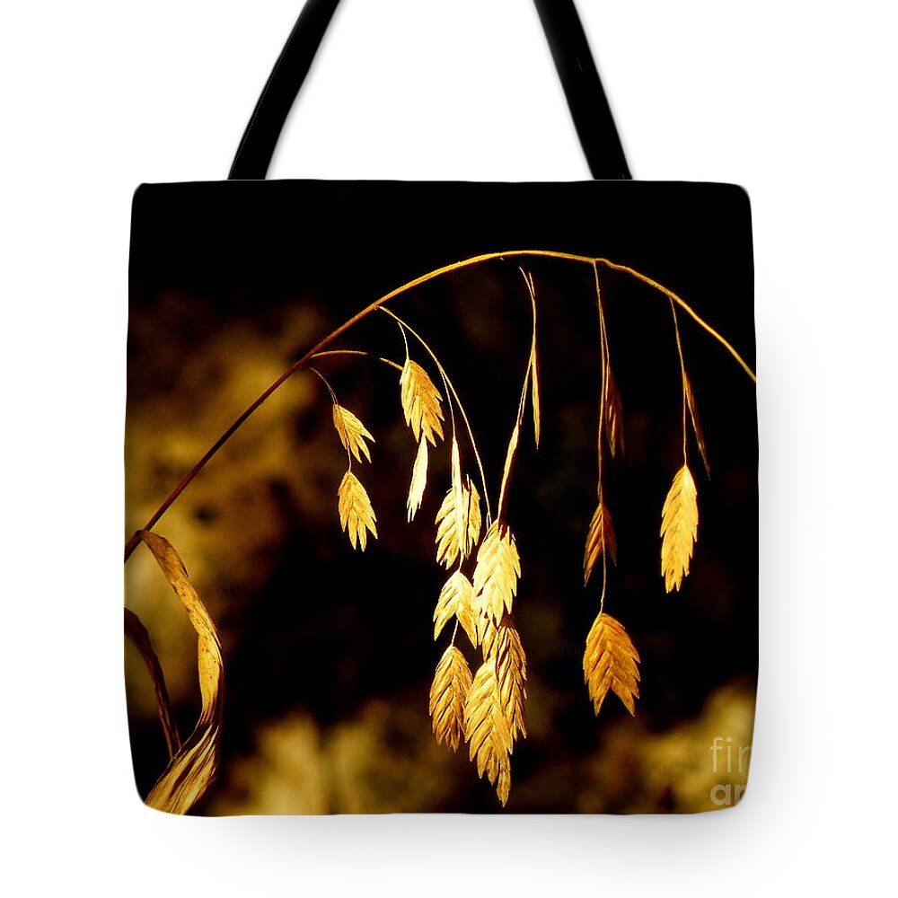 Texas Hill Country Tote Bag featuring the photograph Autumn Jewelery by Joe Pratt