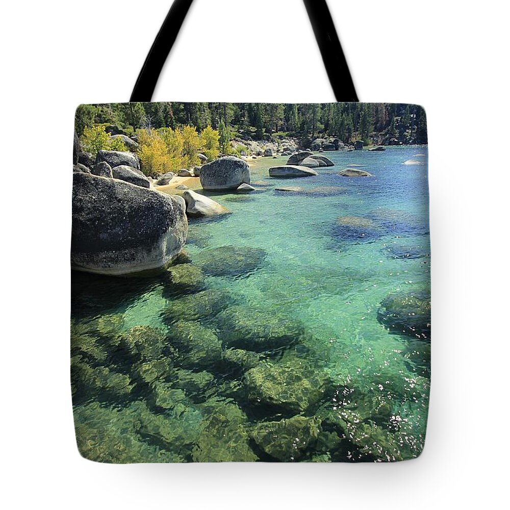 Shore Tote Bag featuring the photograph Autumn Jewels by Sean Sarsfield