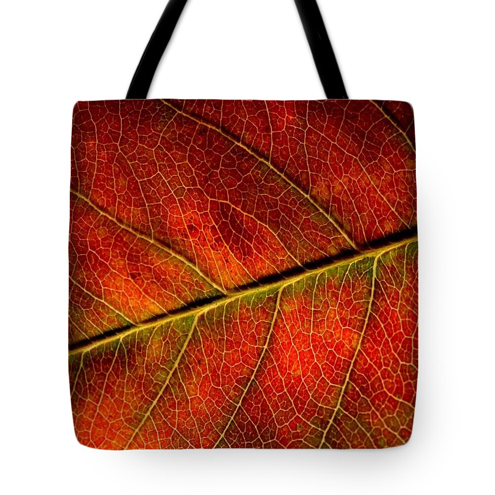 Leaf Autumn Fallen Fall Winter Amber Red Faded Vein Veins Tote Bag featuring the photograph Autumn Leaf by Ian Sanders