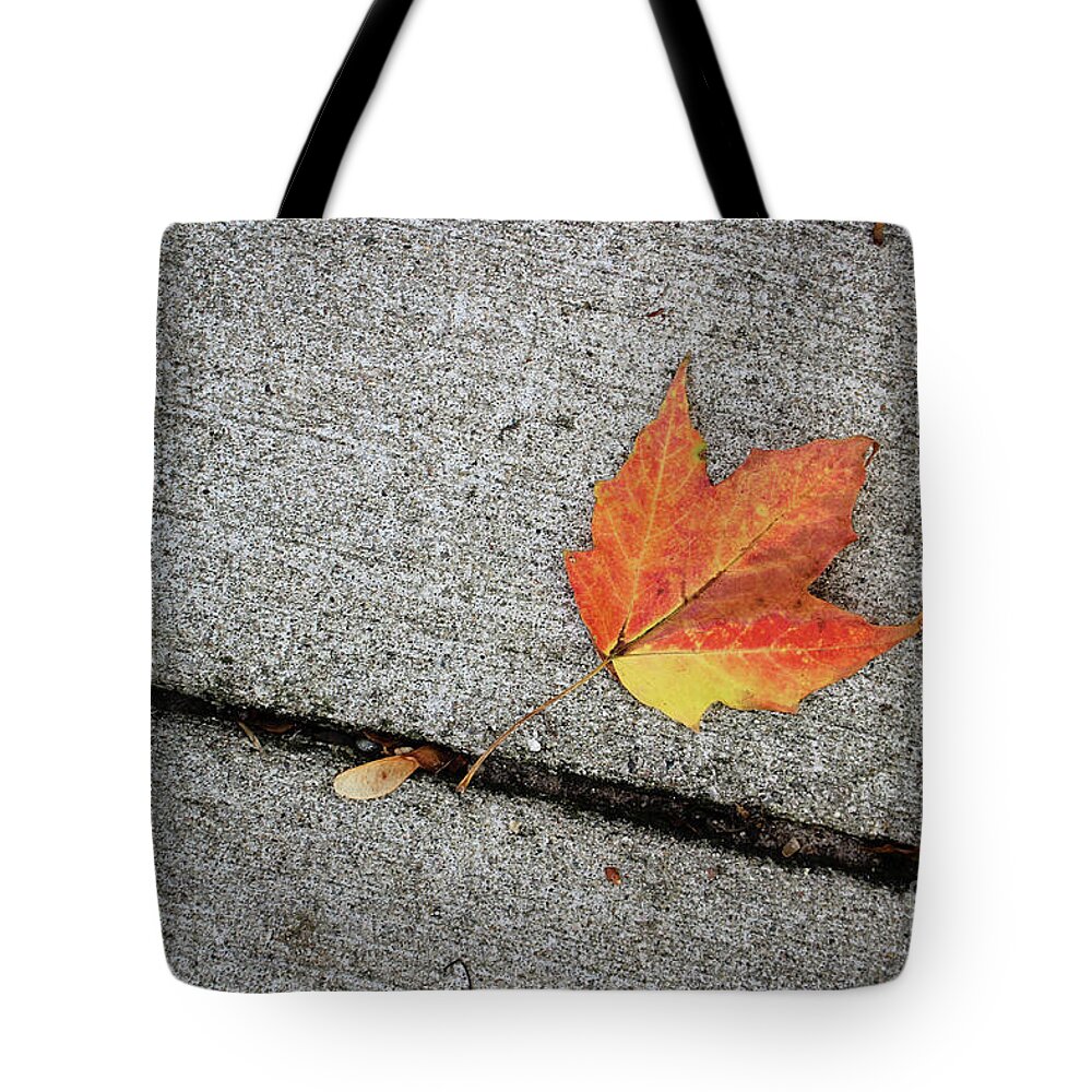 Autumn Tote Bag featuring the photograph Autumn Leaf by Laura Kinker
