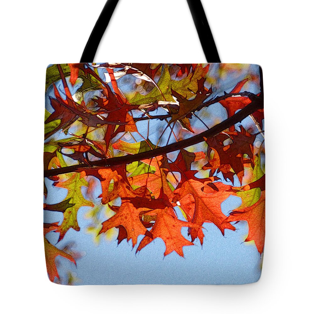 Autumn Tote Bag featuring the photograph Autumn Leaves 16 by Jean Bernard Roussilhe