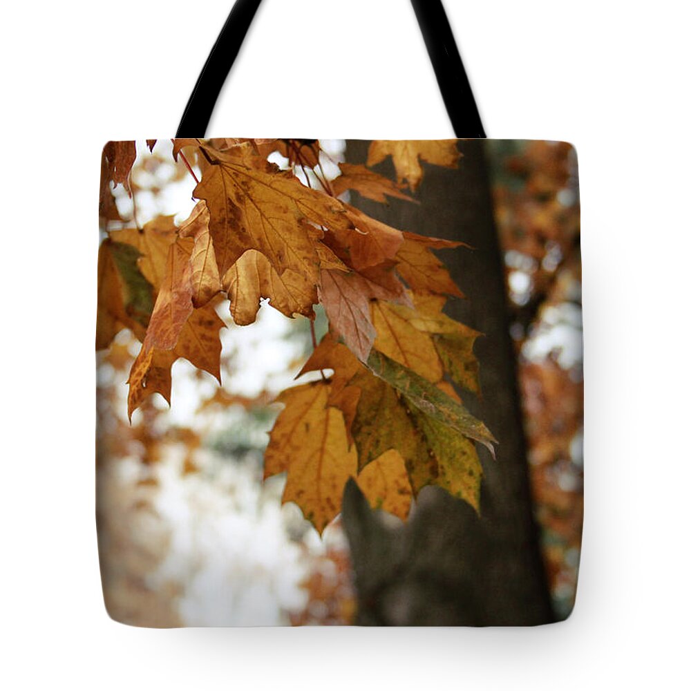 Autumn Tote Bag featuring the photograph Autumn Leaves 2- by Linda Woods by Linda Woods