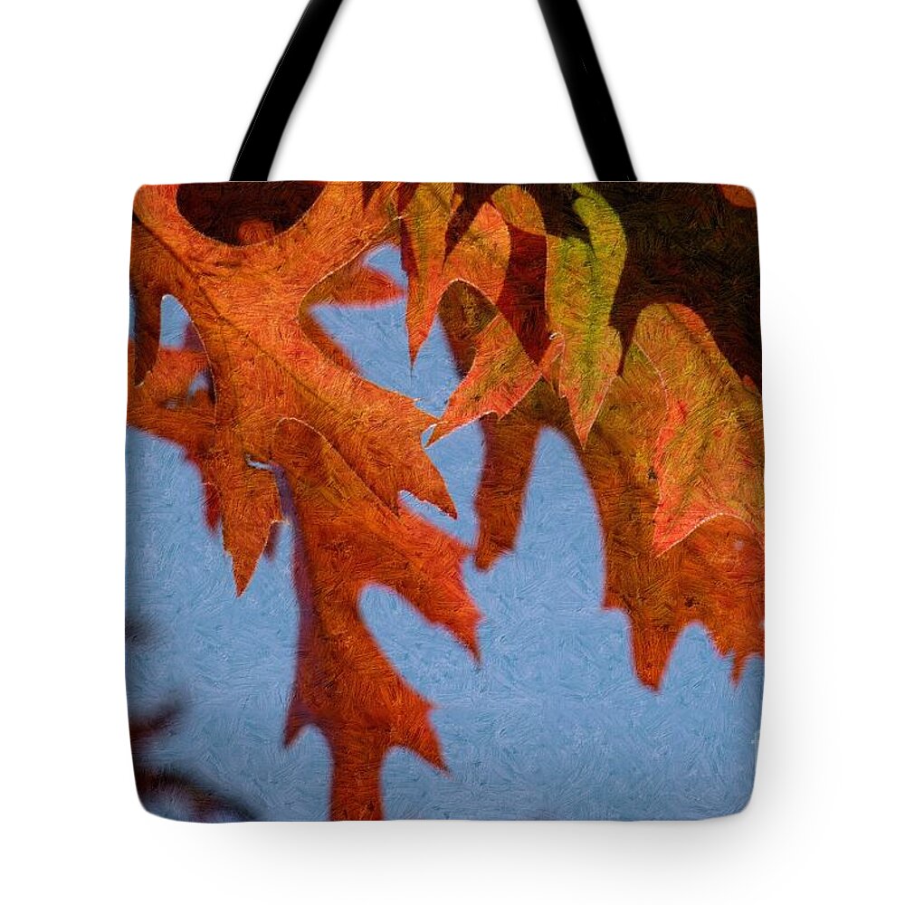 Autumn Tote Bag featuring the photograph Autumn Leaves 6 by Jean Bernard Roussilhe