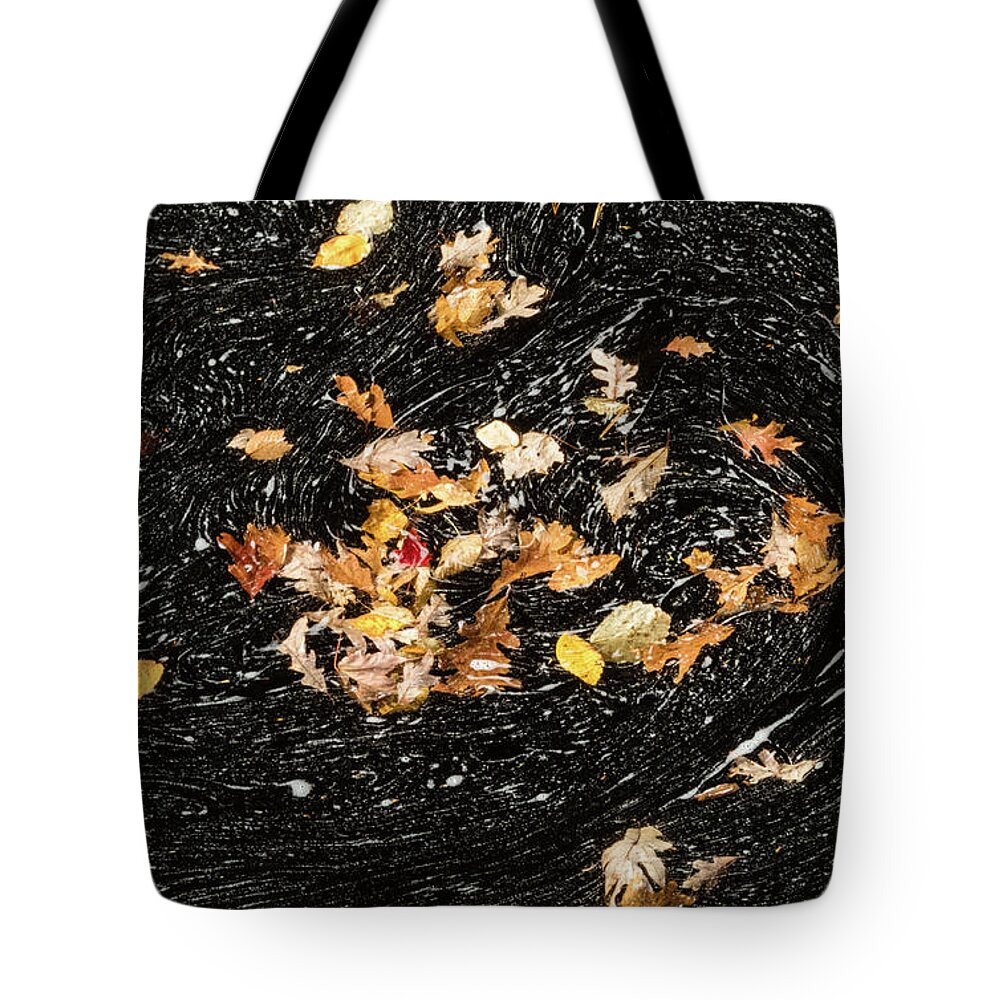 David Letts Tote Bag featuring the photograph Autumn Leaves Abstract by David Letts