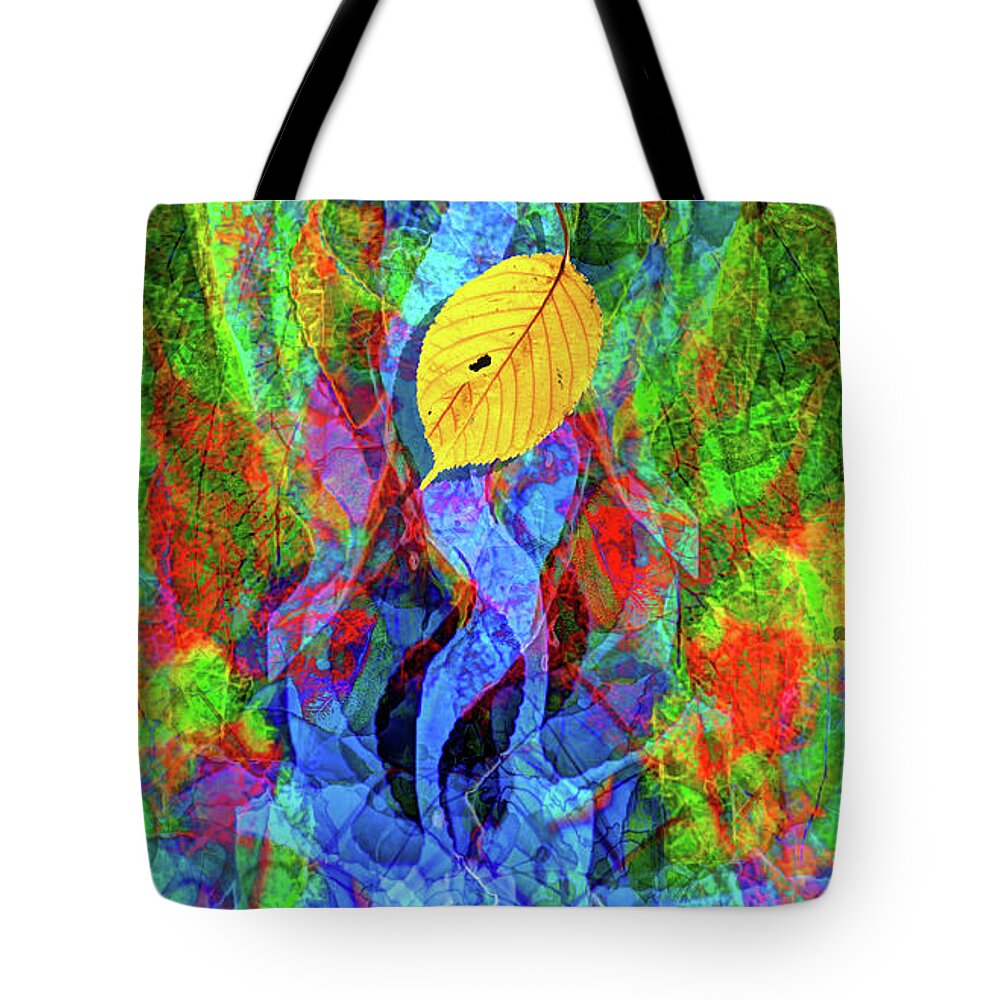 Autumn Tote Bag featuring the photograph Autumn Leaves Abstract by Jeff Breiman
