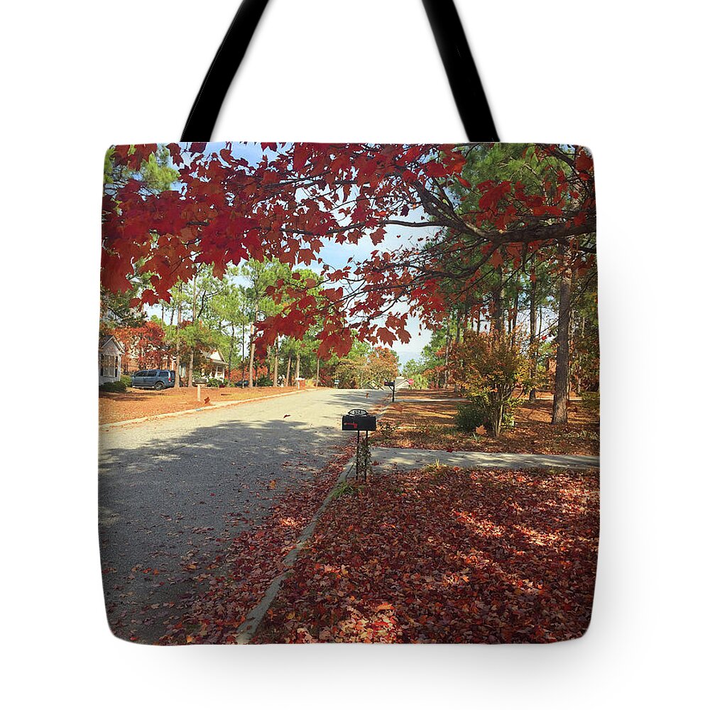 Autumn Tote Bag featuring the photograph Autumn Leaves by Matthew Seufer
