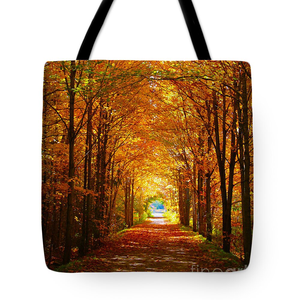 Autumn Tote Bag featuring the photograph Autumn Light and Leaf Painting by Nina Silver