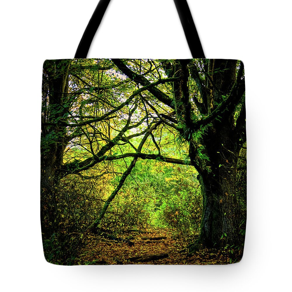 Autumn Light Tote Bag featuring the photograph Autumn Light by David Patterson