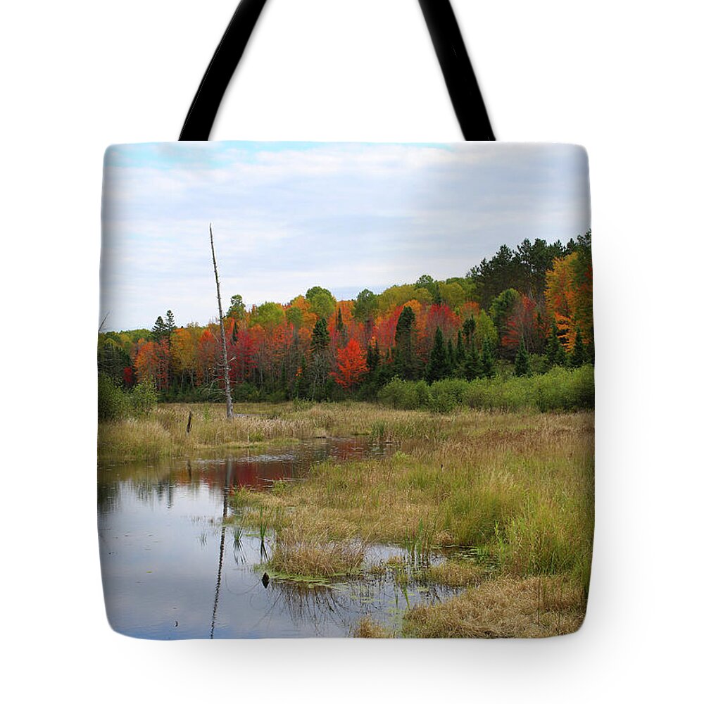 Autumn Tote Bag featuring the photograph Autumn Marsh View by Brook Burling