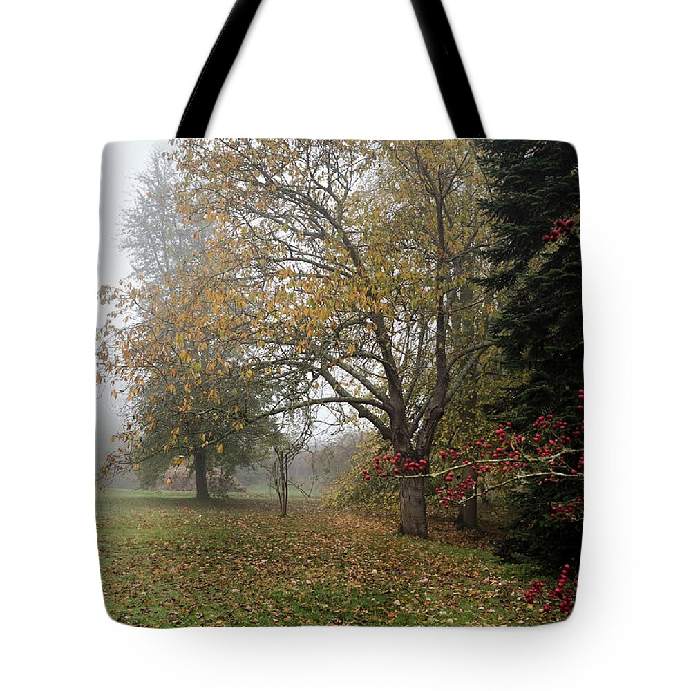 Red Berries Tote Bag featuring the photograph Autumn Mist, Great Dixter Garden 2 by Perry Rodriguez