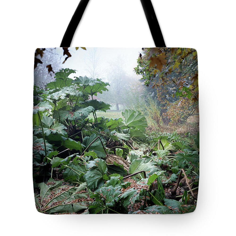 Autumn Tote Bag featuring the photograph Autumn Mist, Great Dixter Garden by Perry Rodriguez