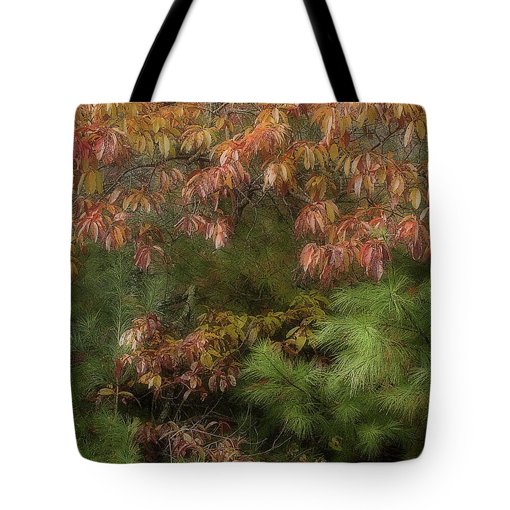 Leaves Tote Bag featuring the photograph Autumn Mixing by Mike Eingle