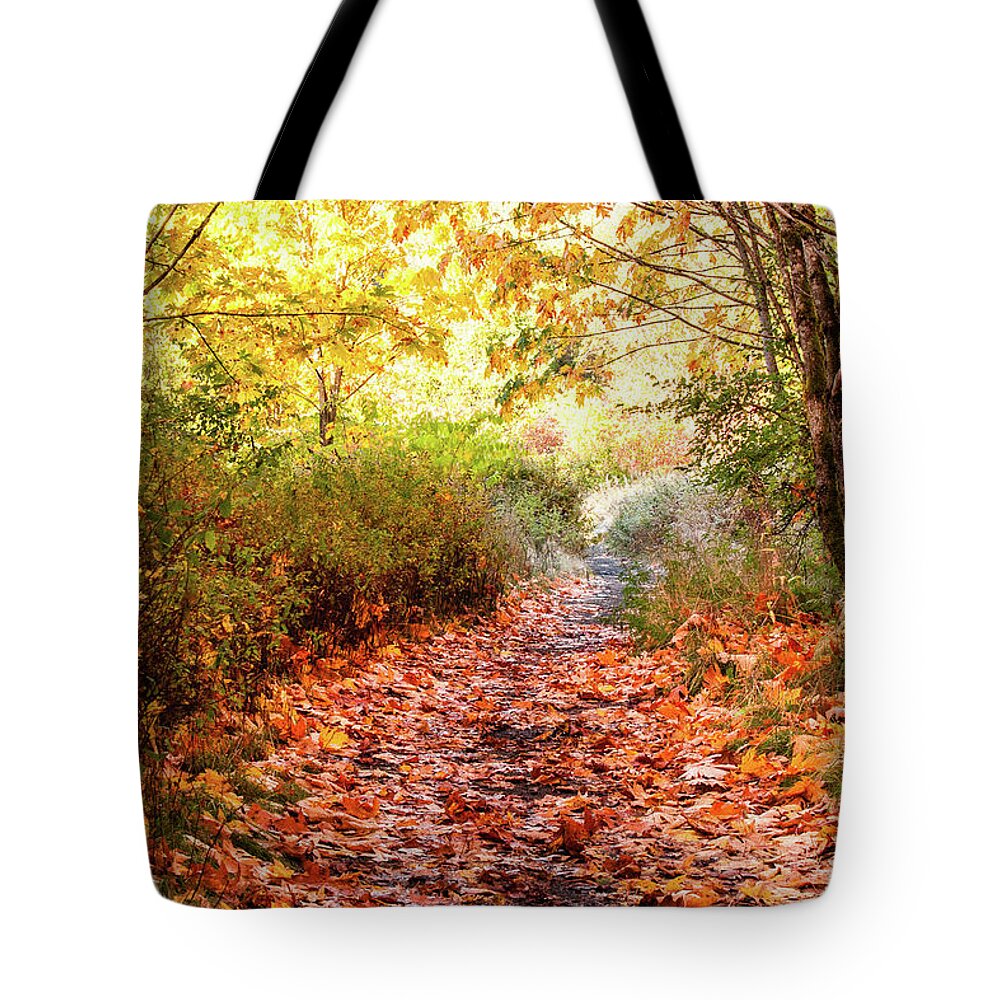 Landscapes Tote Bag featuring the photograph Autumn Morning by Claude Dalley