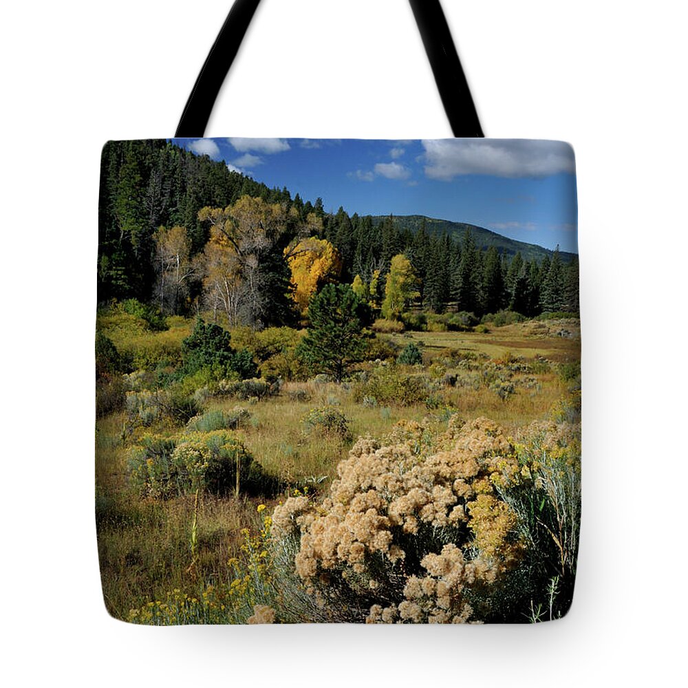 Landscape Tote Bag featuring the photograph Autumn Morning In The Canyon by Ron Cline